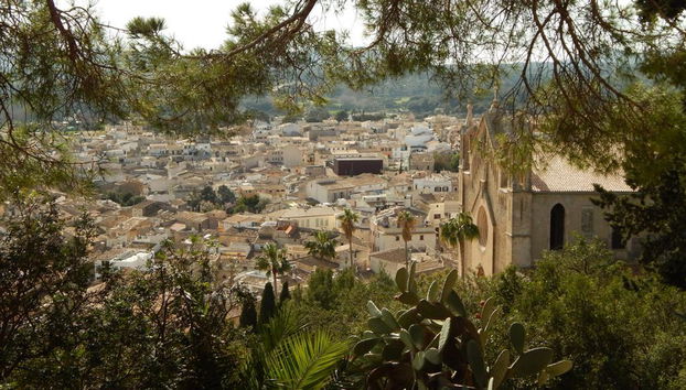 Caves of Drach and Porto Cristo - Full-Day Tour - Photo 4